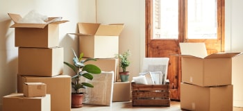 Pack Out